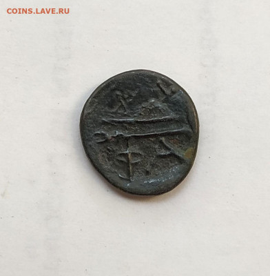 Фанагория, тетрахалк. до 23.09.2025. 22.00мск. - IMG_20250917_172558