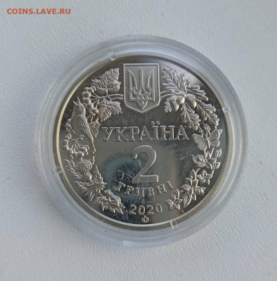 Совка великолепная  Украина 2 гривны 2020 - 1758451015866
