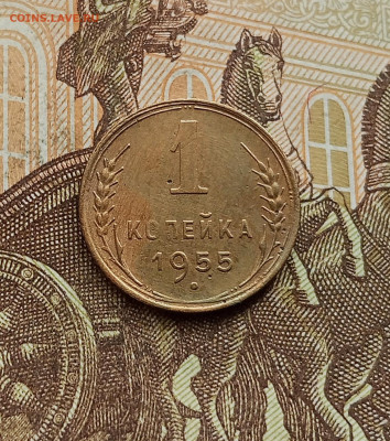 1 копейка 1955. До 25.09.25 в 22.00 - IMG_20250921_163455