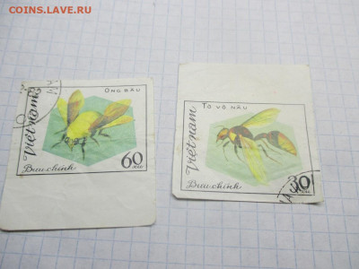 2 марки Вьетнам 1982 года . БЗ. - IMG_0547.JPG