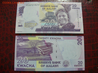 Малави 20 квача 2020 - пресс - P1420079.JPG