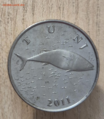2 куны 2011г до 28.09.25 22-00 - 20250923_195958