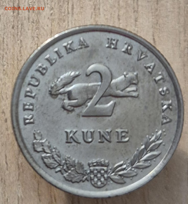 2 куны 2011г до 28.09.25 22-00 - 20250923_195946