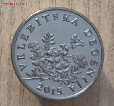 50 липа 2015 до 28.09.25 - 20250923_200041