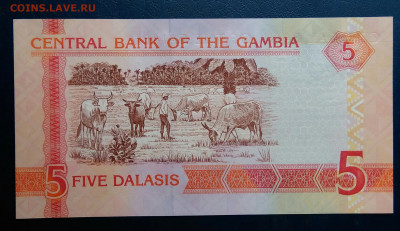 Гамбия 5 даласи 2013 года до 29.09.2025 - IMG_20250818_020607