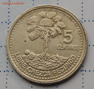 Гватемала 5 сентаво 1998 до 28.09.2025 - Гватемала 5 сентаво 98.JPG