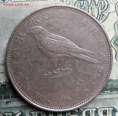 Венгрия 50 форинтов 1995 года до 29.09.2025 - IMG_20250924_222149