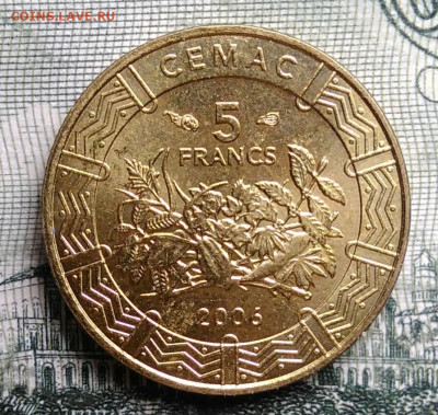 Центральная Африка 5 франков 2006 года до 29.09.2025 - IMG_20250924_230837