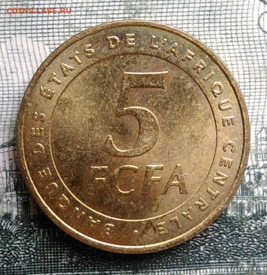 Центральная Африка 5 франков 2006 года до 29.09.2025 - IMG_20250924_230856