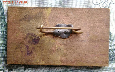 50 лет ВЛКСМ до 29.09.2025 - IMG_20250924_231916