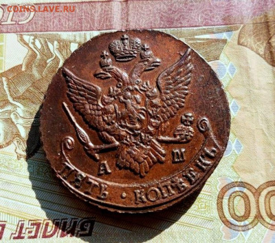 5 копеек 1809 ем на оценку. - photo_2025-03-04_11-04-49