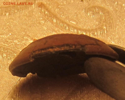 Звезды РККА (комсостав ) - IMG_8984.JPG