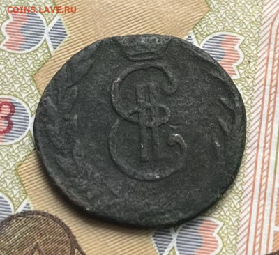 Денга Сибирская 1771 до 30.09.2025 в 22.00 - IMG_E2927.JPG