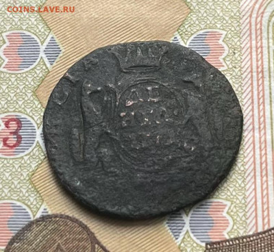 Денга Сибирская 1771 до 30.09.2025 в 22.00 - IMG_E2925.JPG