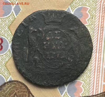 Денга Сибирская 1771 до 30.09.2025 в 22.00 - IMG_E2924.JPG