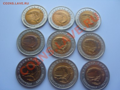 Черноморская афалина 1993 год.Предпродажная оценка. - SS106337.JPG