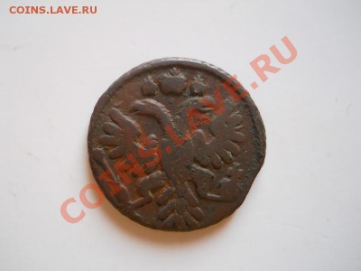 Хорошая Полушка 1735 Года. Окончание в 21.10, 25.02.12. - 48.JPG
