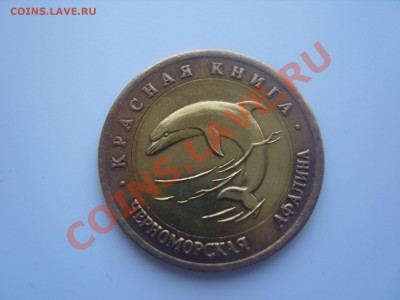 Черноморская афалина. 1993г.Опознание. - SS106342.JPG