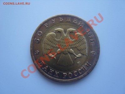 Черноморская афалина. 1993г.Опознание. - SS106343.JPG