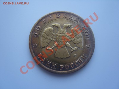 Черноморская афалина. 1993г.Опознание. - SS106344.JPG