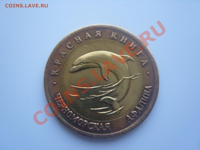 Черноморская афалина. 1993г.Опознание. - SS106345.JPG