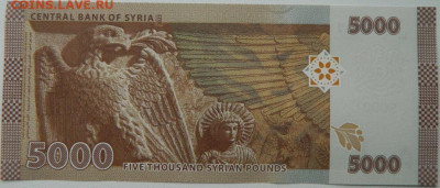 Сирия 5000 фунтов 2023 г.  до 02.10.25 - DSCN7615.JPG