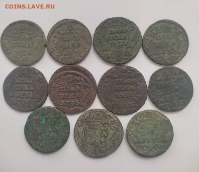 11 монет "Полушка" 1731-1735 г. до 03.10.25 г. 14:00 (мск) - IMG_20250927_134047