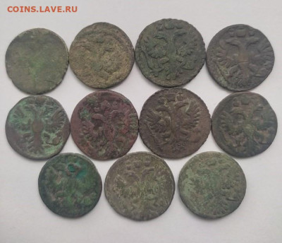 11 монет "Полушка" 1731-1735 г. до 03.10.25 г. 14:00 (мск) - IMG_20250927_134210