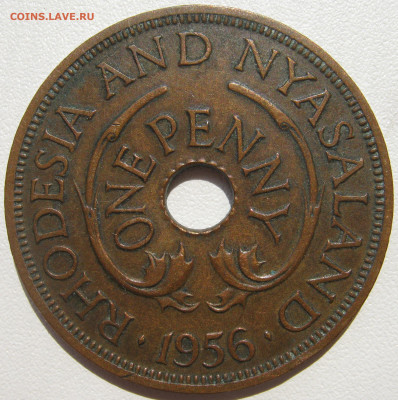 Родезия и Ньясаленд 1 пенни 1956 слоны с бивнями до 03.10. - IMG_3171.JPG