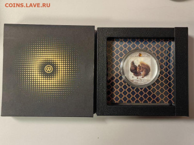 500 франков 2021 Камерун Дюрер Белки, Ag999, до 05.10 - Ч Дюрер Две белки-3