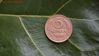 Монета СССР 5 копеек1945 г - DSC03391.JPG