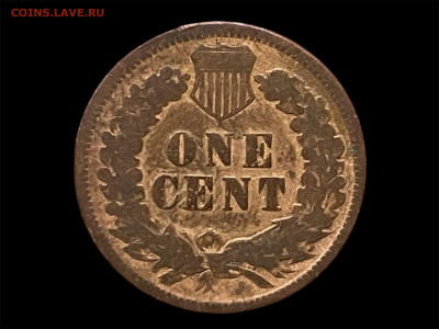 1 цент 1903 года, с рубля до 02.10.25 - Photoroom_20250929_161107