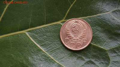 Монета СССР 5 копеек1945 г - DSC03393.JPG