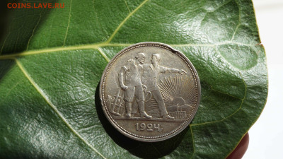 1 рубль 1924 г ПЛ - DSC03336.JPG