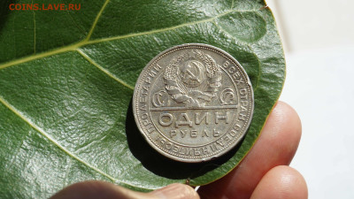 1 рубль 1924 г ПЛ - DSC03335.JPG