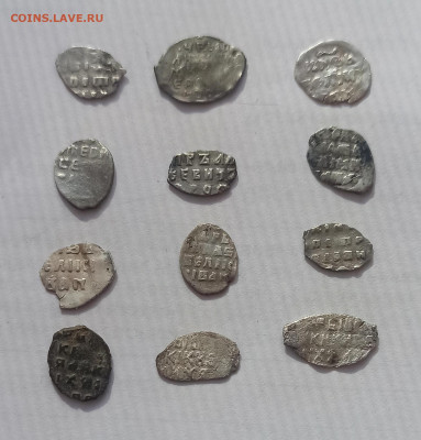 Чешуя разных правлений (2) , до 06.10 в 22.00 мск - 1759215774057