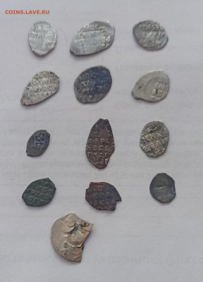 Чешуя разных правлений(1) , до 06.10 в 22.00 мск - 1759215774033