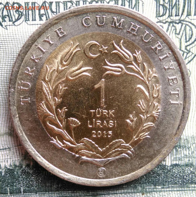 Турция 1 лира 2015 года баран до 06.10.2025 - IMG_20250930_182355
