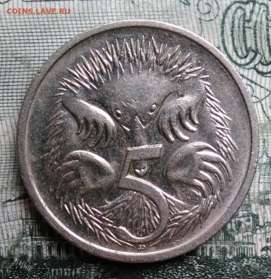 Австралия 5 центов 1993 года до 06.10.2025 - IMG_20250930_225019