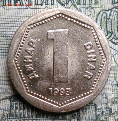 Югославия 1 динар 1993 года до 06.10.2025 - IMG_20251001_002327