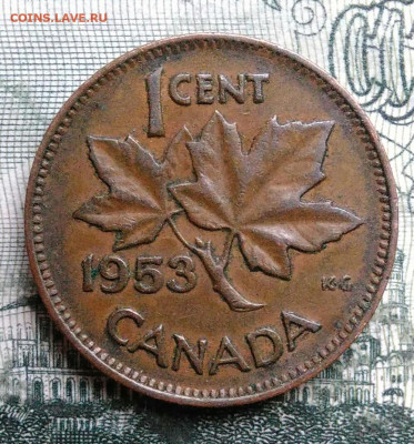 Канада 1 цент 1953 года до 06.10.2025 - IMG_20251001_001654