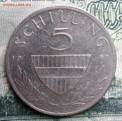 Австрия 5 шиллингов 1981 года до 06.10.2025 - IMG_20250930_231116