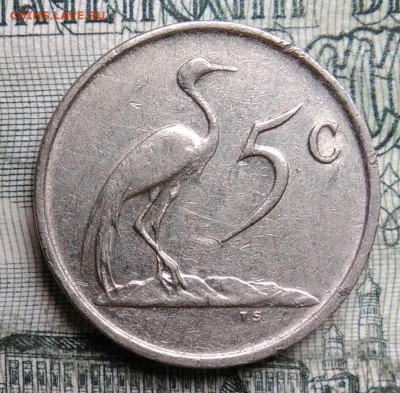 Южная Африка 5 центов 1984 года до 06.10.2025 - IMG_20251001_002456