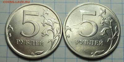 РАЗНОВИДНОСТИ  от  СЛФ - DSC02694.JPG