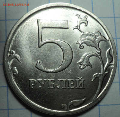 РАЗНОВИДНОСТИ  от  СЛФ - DSC02682.JPG