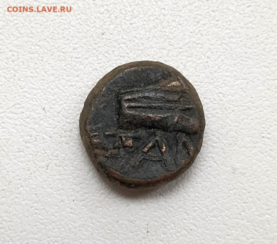 Пантикапей, тетрахалк, Перисад V до 4.10.2025. 22.00мск - IMG_20250930_114925