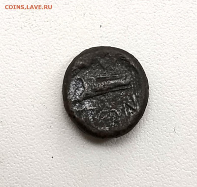 Пантикапей, тетрахалк, Перисад IV, до 4.10.2025. 22.00мск - IMG_20250930_115045