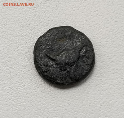 Пантикапей, тетрахалк, Перисад IV, до 5.10.2025. 22.00мск - IMG_20251001_123401