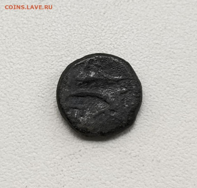 Пантикапей, тетрахалк, Перисад IV, до 5.10.2025. 22.00мск - IMG_20251001_123414