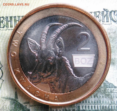 Замбия 2 квача 2024 года до 06.10.2025 - IMG_20251002_004255